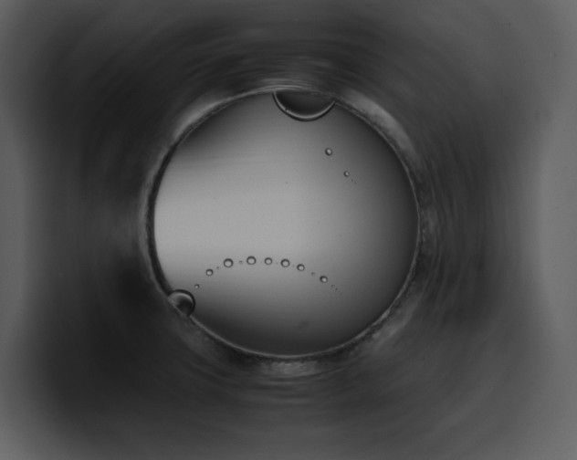 X0000100771427200806191232