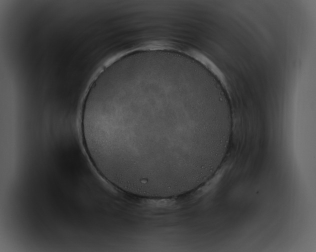 X0000100771429200806191232