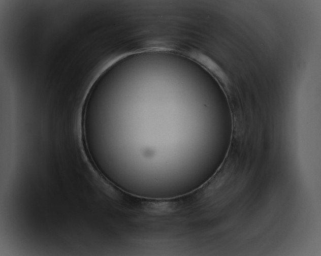 X0000100771431200806191232