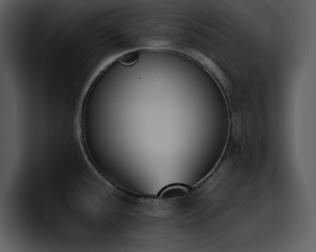 X0000100771432200806191232