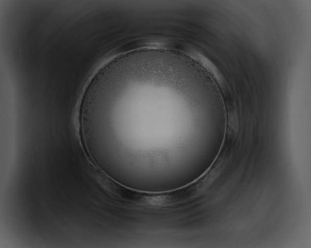 X0000100771435200806191232