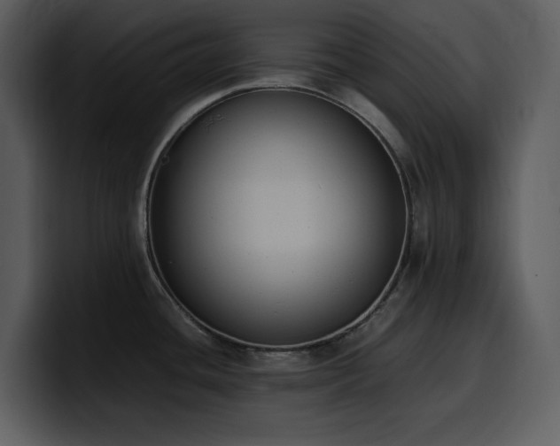 X0000100771436200806191232