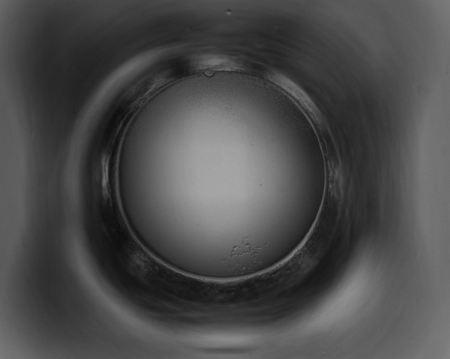 X0000100771439200806191232