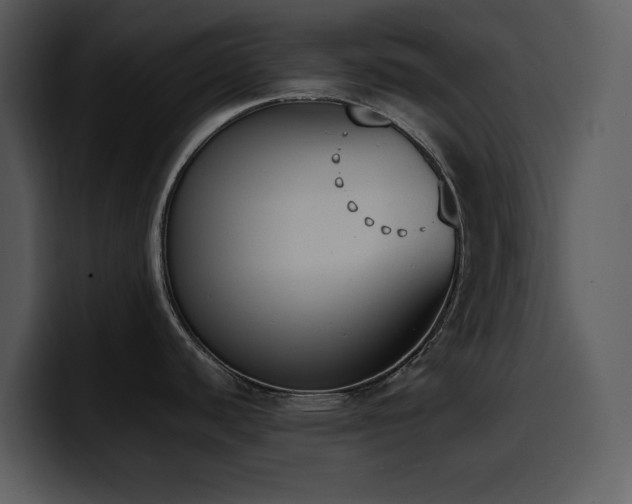 X0000100771440200806191232