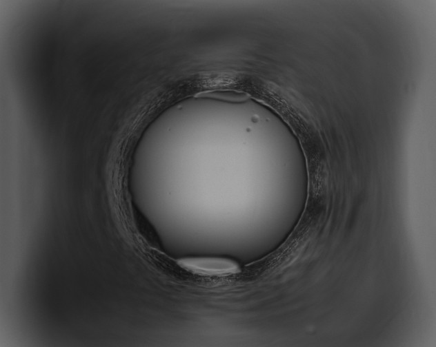 X0000100771441200806191231