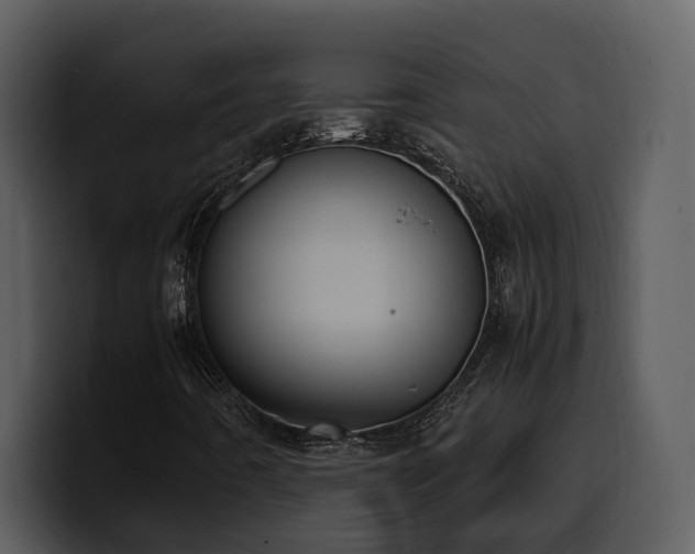 X0000100771442200806191231