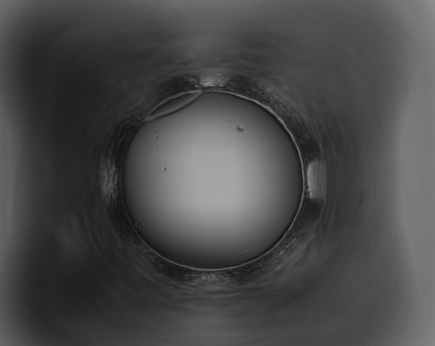 X0000100771443200806191231