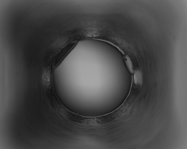 X0000100771444200806191231