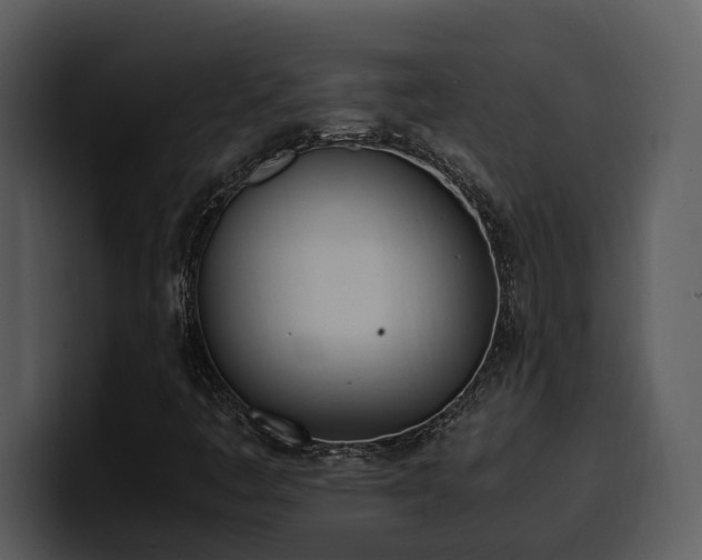 X0000100771445200806191231