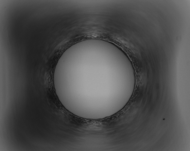 X0000100771446200806191231