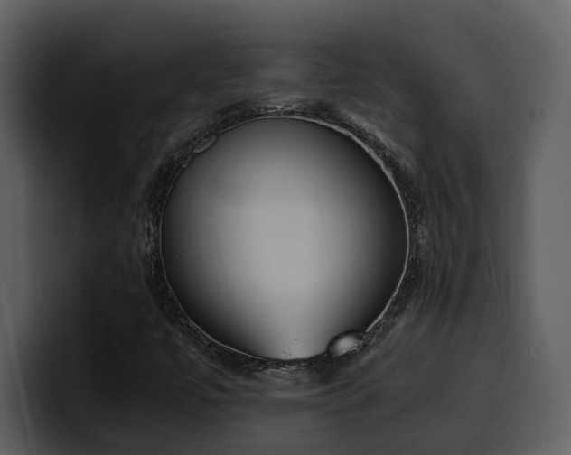 X0000100771447200806191231