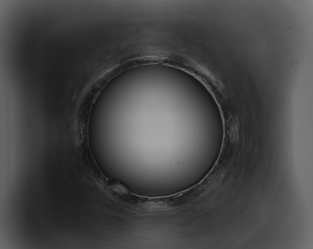 X0000100771448200806191231