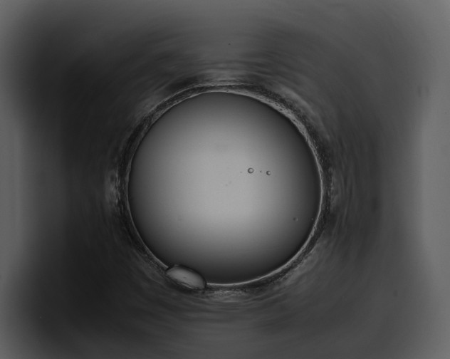 X0000100771449200806191231