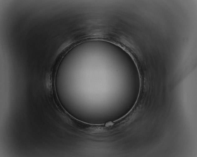 X0000100771450200806191231