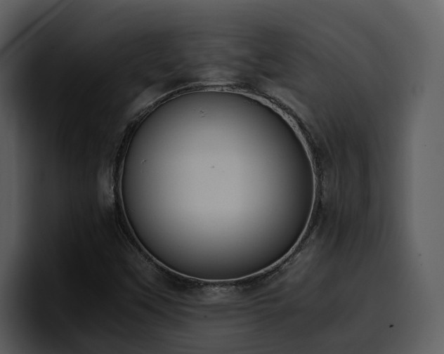 X0000100771451200806191231
