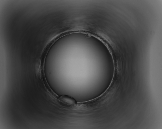 X0000100771452200806191231