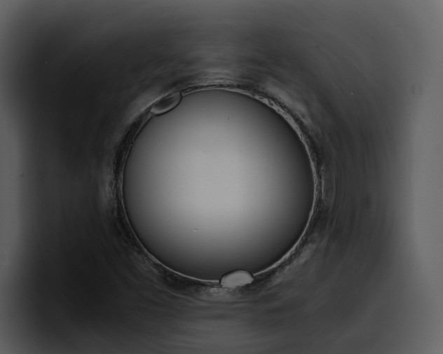 X0000100771453200806191231