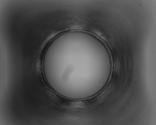 X0000100771454200806191231