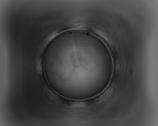 X0000100771455200806191231