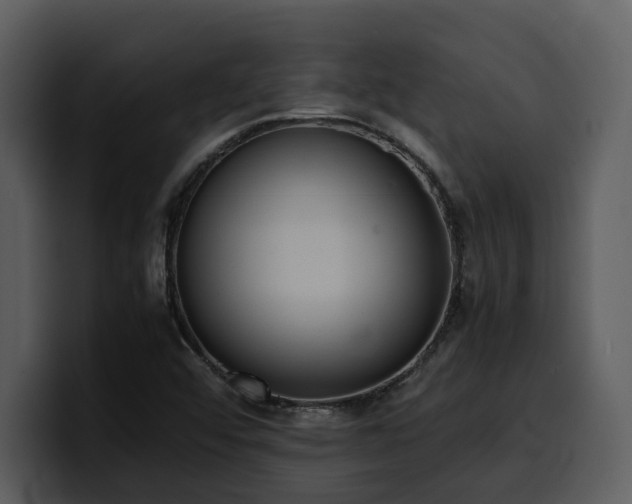 X0000100771456200806191231