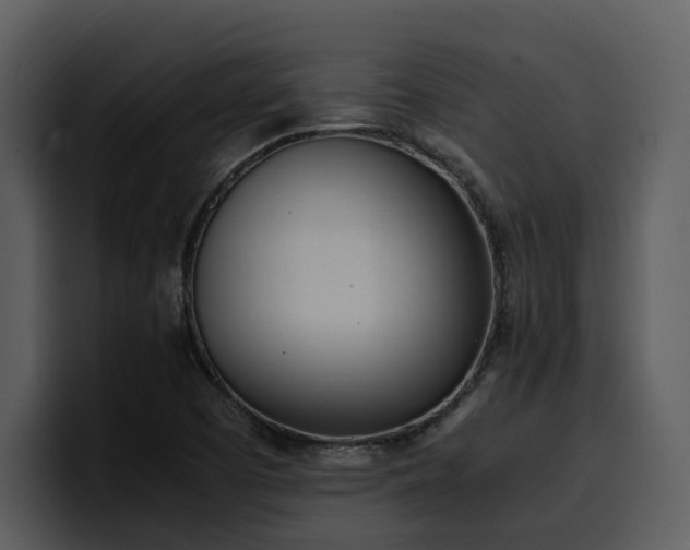X0000100771457200806191231