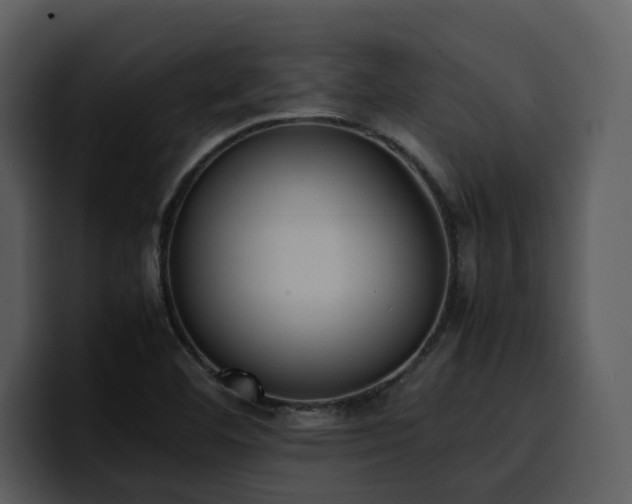 X0000100771460200806191231