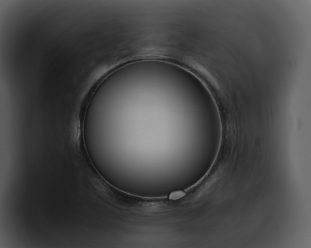 X0000100771461200806191231
