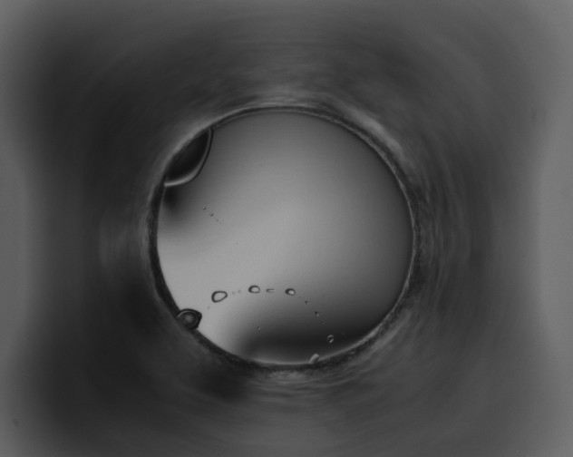 X0000100771463200806191231