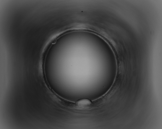 X0000100771464200806191231