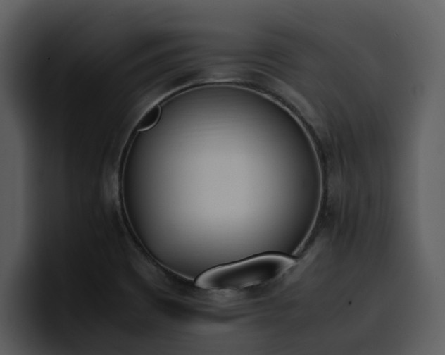 X0000100771465200806191231