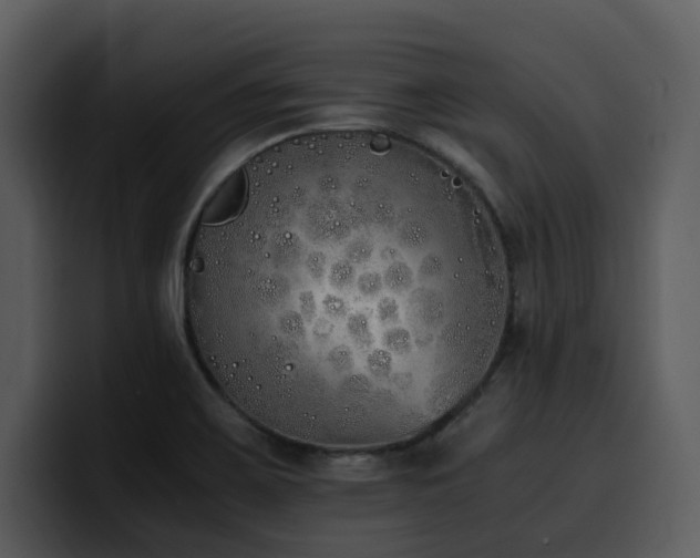 X0000100771467200806191231