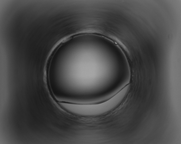 X0000100771468200806191231