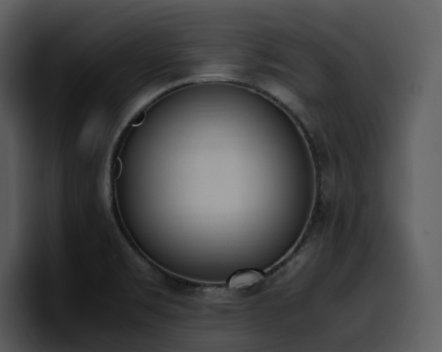 X0000100771469200806191231