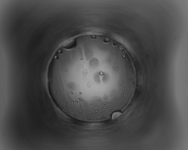 X0000100771471200806191231
