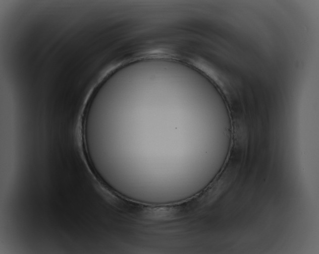 X0000100771474200806191231