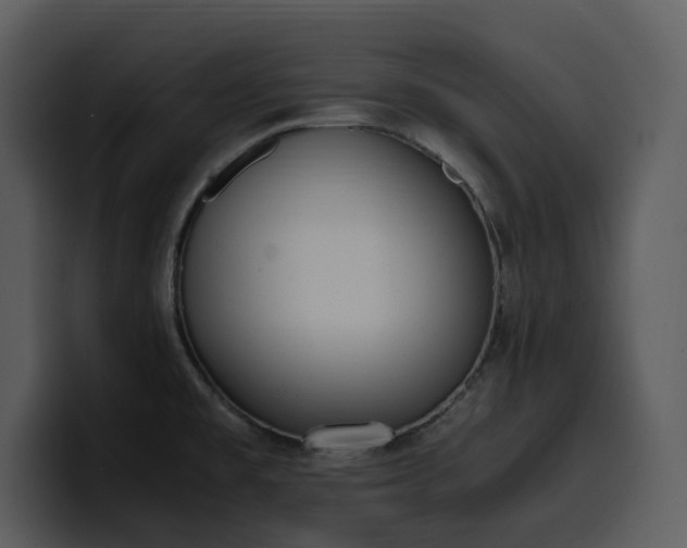 X0000100771477200806191231