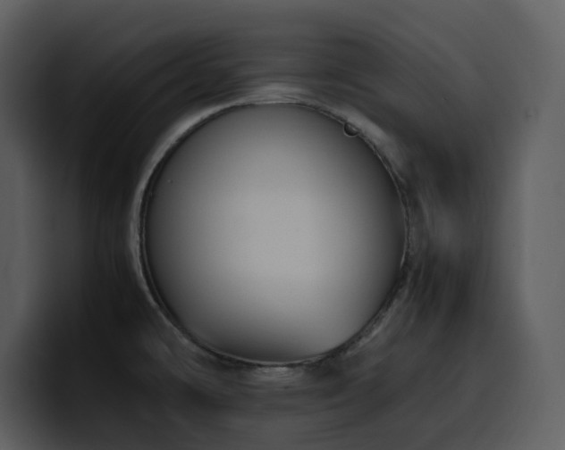 X0000100771478200806191231