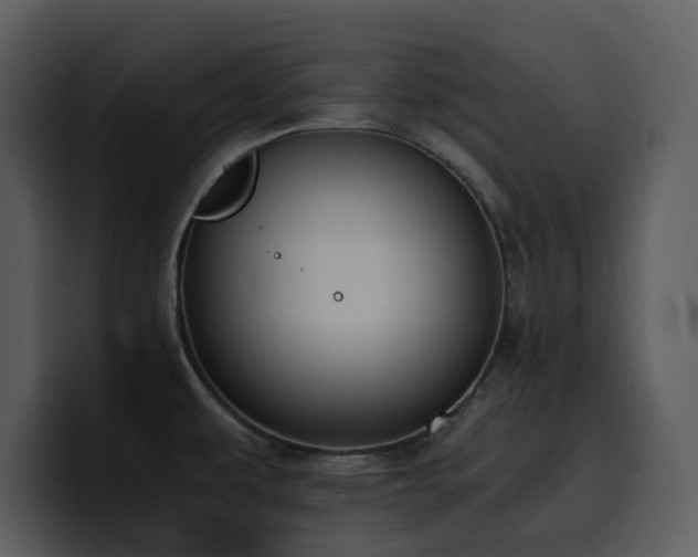 X0000100771479200806191231