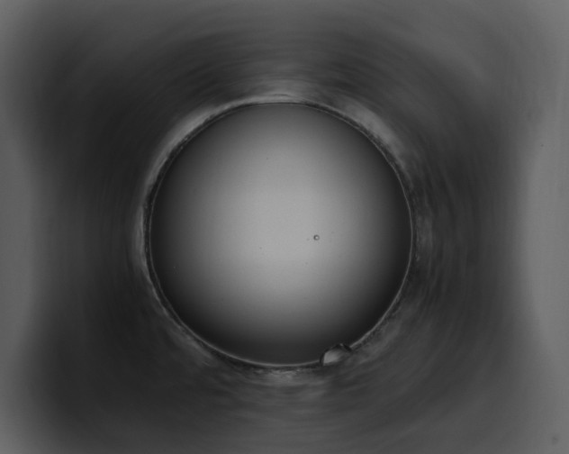 X0000100771480200806191231