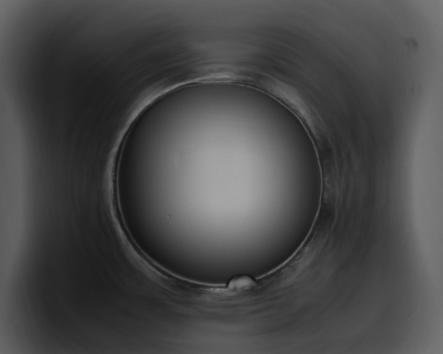 X0000100771483200806191231