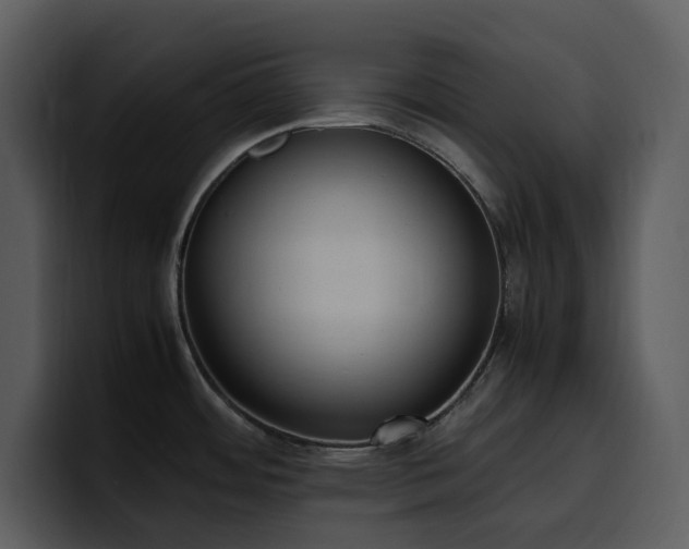 X0000100771484200806191231