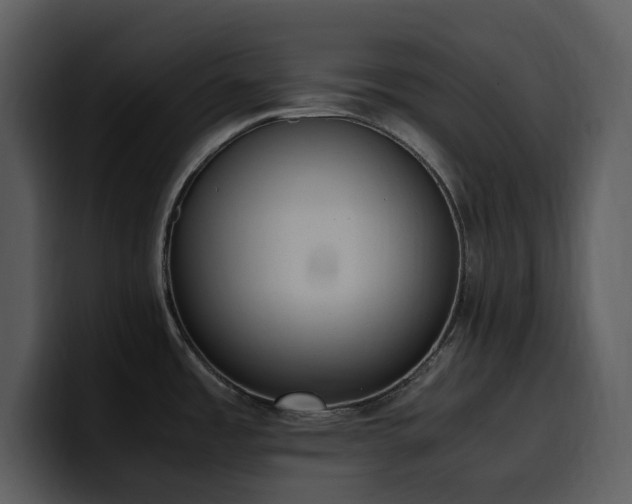 X0000100771485200806191231