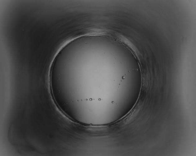 X0000100771487200806191231