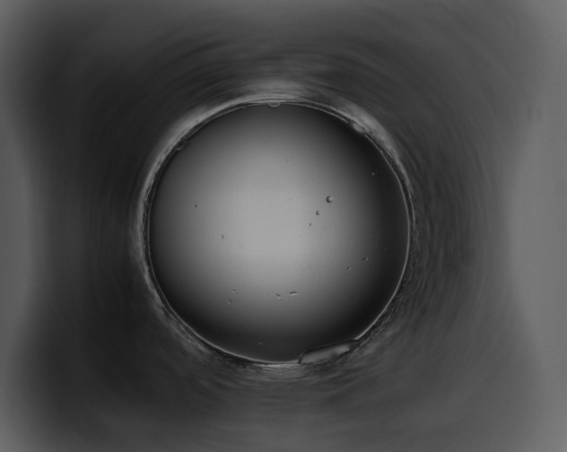 X0000100771488200806191231