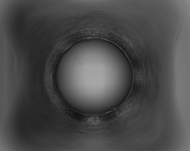 X0000100771489200806191230