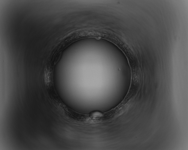 X0000100771490200806191230