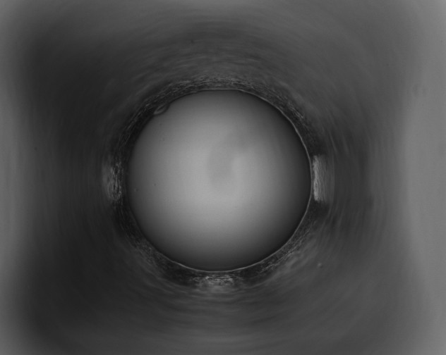 X0000100771491200806191230