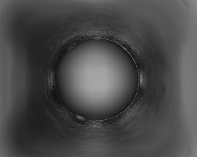 X0000100771492200806191230