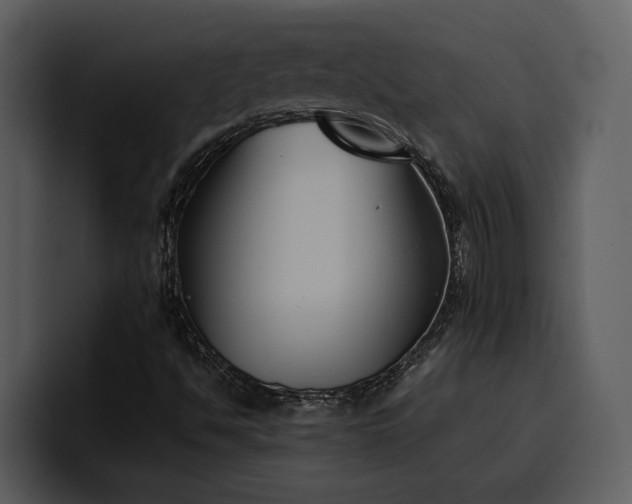 X0000100771494200806191230