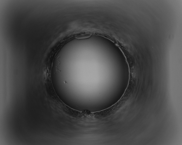 X0000100771495200806191230
